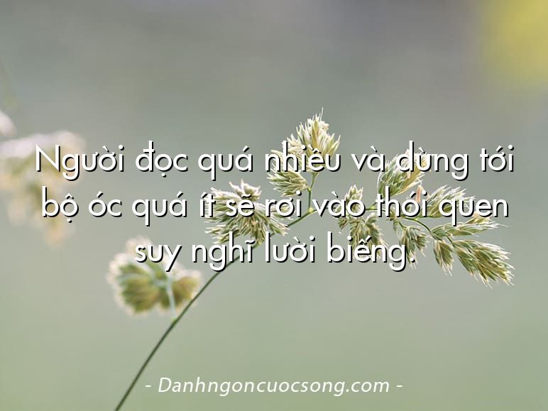 Người đọc quá nhiều và dùng tới bộ óc quá ít sẽ rơi vào thói quen suy nghĩ lười biếng.