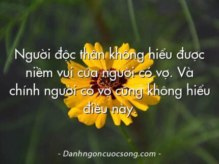 Người độc thân không hiểu được niềm vui của người có vợ. Và chính người có vợ cũng không hiểu điều này.