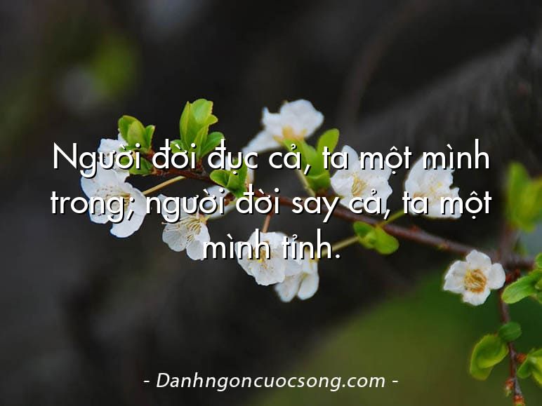 Người đời đục cả, ta một mình trong; người đời say cả, ta một mình tỉnh.