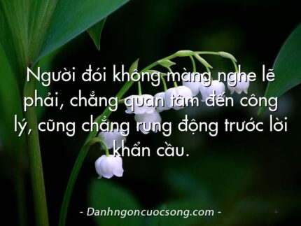 Người đói không màng nghe lẽ phải, chẳng quan tâm đến công lý, cũng chẳng rung động trước lời khẩn cầu.
