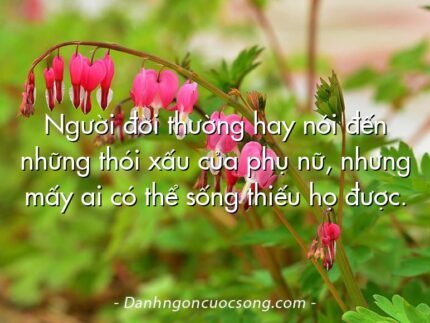 Người đời thường hay nói đến những thói xấu của phụ nữ, nhưng mấy ai có thể sống thiếu họ được.