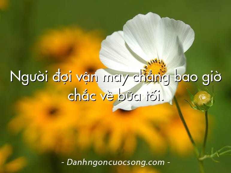Người đợi vận may chẳng bao giờ chắc về bữa tối.