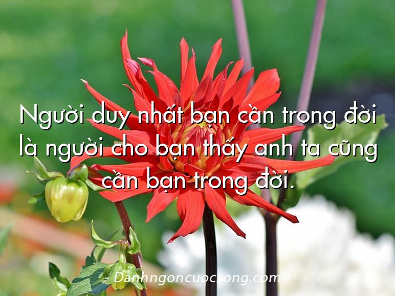 Người duy nhất bạn cần trong đời là người cho bạn thấy anh ta cũng cần bạn trong đời.