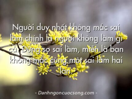 Người duy nhất không mắc sai lầm chính là người không làm gì cả. Đừng sợ sai lầm, miễn là bạn không mắc cùng một sai lầm hai lần.
