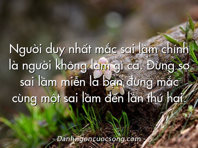 Người duy nhất mắc sai lầm chính là người không làm gì cả. Đừng sợ sai lầm miễn là bạn đừng mắc cùng một sai lầm đến lần thứ hai.
