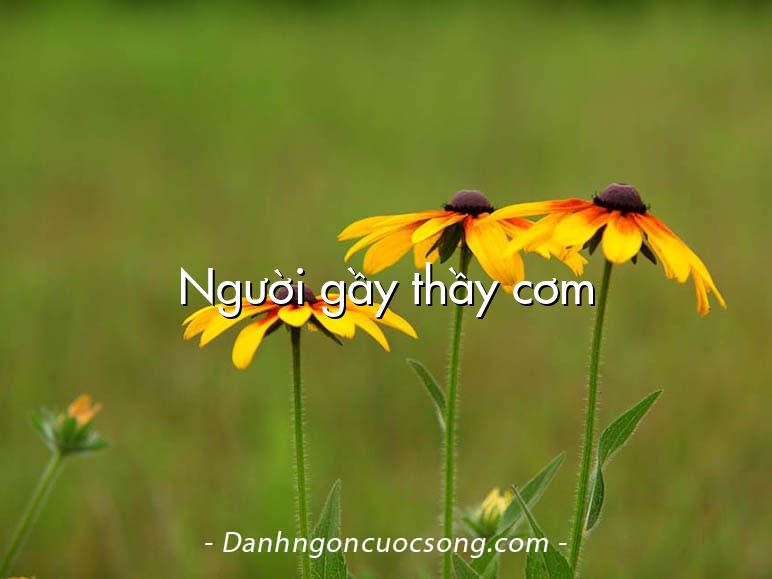 Người gầy thầy cơm