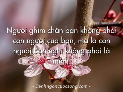Người ghìm chân bạn không phải con người của bạn, mà là con người bạn nghĩ không phải là mình.