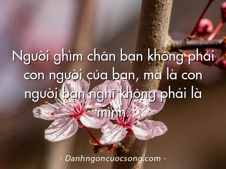 Người ghìm chân bạn không phải con người của bạn, mà là con người bạn nghĩ không phải là mình.