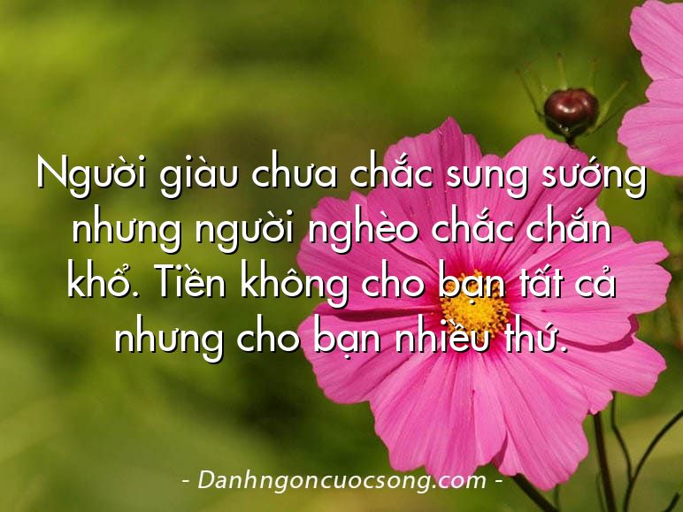 Người giàu chưa chắc sung sướng nhưng người nghèo chắc chắn khổ. Tiền không cho bạn tất cả nhưng cho bạn nhiều thứ.