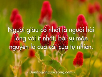 Người giàu có nhất là người hài lòng với ít nhất, bởi sự mãn nguyện là của cải của tự nhiên.
