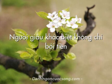 Người giàu khác biệt không chỉ bởi tiền