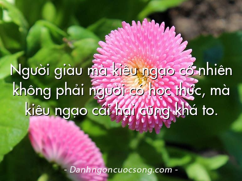 Người giàu mà kiêu ngạo cố nhiên không phải người có học thức, mà kiêu ngạo cái hại cũng khá to.