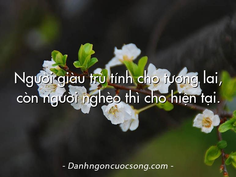 Người giàu trù tính cho tương lai, còn người nghèo thì cho hiện tại.