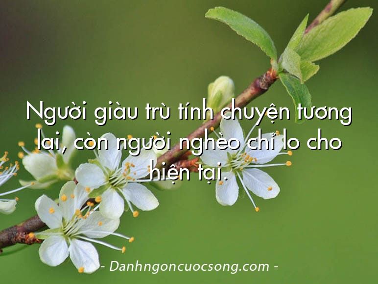 Người giàu trù tính chuyện tương lai, còn người nghèo chỉ lo cho hiện tại.