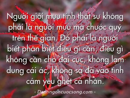 Người giỏi mưu tính thật sự không phải là người mưu ma chước quỷ trên thế gian. Đó phải là người biết phân biệt điều gì cần, điều gì không cần cho đại cục, không lạm dung cái ác, không sa đà vào tình cảm yêu ghét cá nhân.