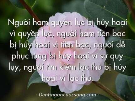 Người ham quyền lực bị hủy hoại vì quyền lực, người ham tiền bạc bị hủy hoại vì tiền bạc, người dễ phục tùng bị hủy hoại vì sự quỵ lụy, người tìm kiếm lạc thú bị hủy hoại vì lạc thú.
