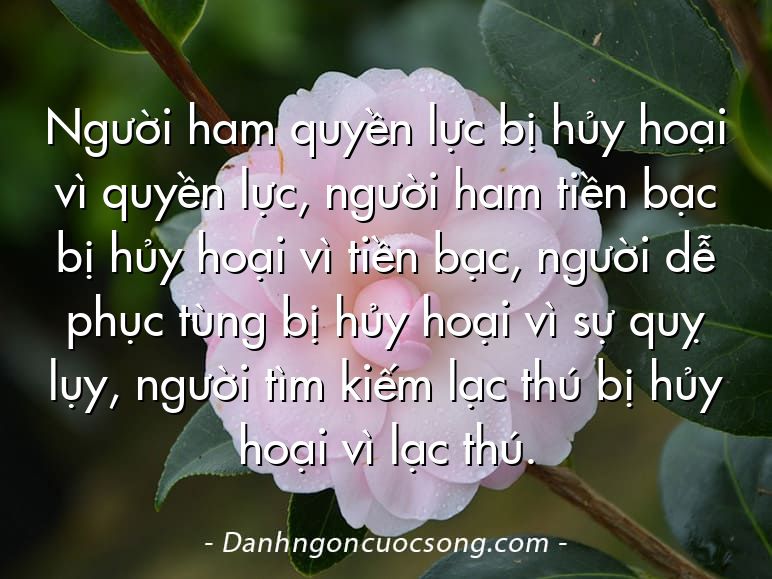 Người ham quyền lực bị hủy hoại vì quyền lực, người ham tiền bạc bị hủy hoại vì tiền bạc, người dễ phục tùng bị hủy hoại vì sự quỵ lụy, người tìm kiếm lạc thú bị hủy hoại vì lạc thú.