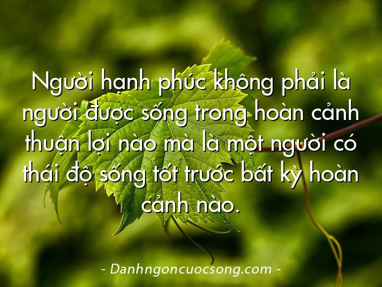 Người hạnh phúc không phải là người được sống trong hoàn cảnh thuận lợi nào mà là một người có thái độ sống tốt trước bất kỳ hoàn cảnh nào.
