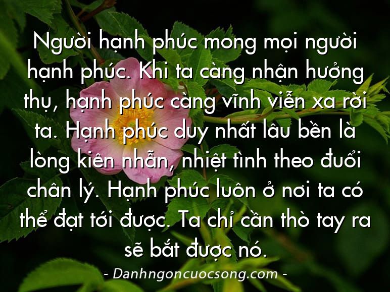 Người hạnh phúc mong mọi người hạnh phúc. Khi ta càng nhận hưởng thụ, hạnh phúc càng vĩnh viễn xa rời ta. Hạnh phúc duy nhất lâu bền là lòng kiên nhẫn, nhiệt tình theo đuổi chân lý. Hạnh phúc luôn ở nơi ta có thể đạt tới được. Ta chỉ cần thò tay ra sẽ bắt được nó.