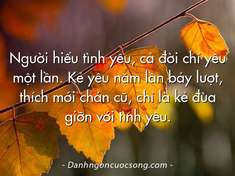 Người hiểu tình yêu, cả đời chỉ yêu một lần. Kẻ yêu năm lần bảy lượt, thích mới chán cũ, chỉ là kẻ đùa giỡn với tình yêu.  