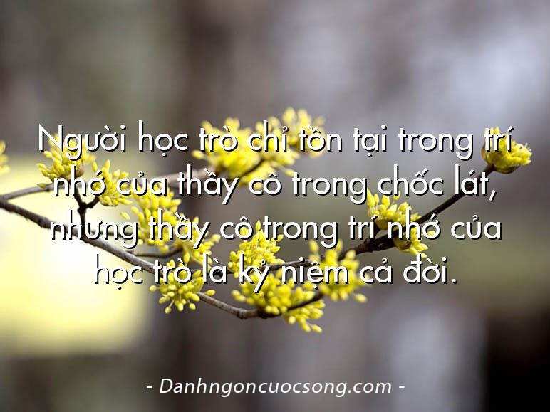 Người học trò chỉ tồn tại trong trí nhớ của thầy cô trong chốc lát, nhưng thầy cô trong trí nhớ của học trò là kỷ niệm cả đời.