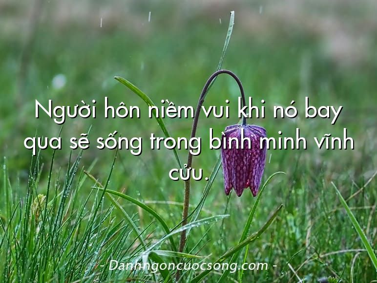 Người hôn niềm vui khi nó bay qua sẽ sống trong bình minh vĩnh cửu.