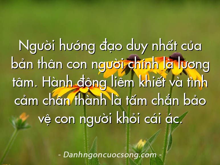 Người hướng đạo duy nhất của bản thân con người chính là lương tâm. Hành động liêm khiết và tình cảm chân thành là tấm chắn bảo vệ con người khỏi cái ác.