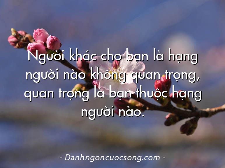 Người khác cho bạn là hạng người nào không quan trọng, quan trọng là bạn thuộc hạng người nào.