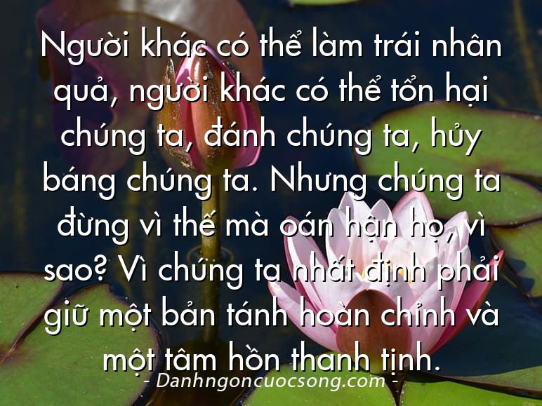 Người khác có thể làm trái nhân quả, người khác có thể tổn hại chúng ta, đánh chúng ta, hủy báng chúng ta. Nhưng chúng ta đừng vì thế mà oán hận họ, vì sao? Vì chúng ta nhất định phải giữ một bản tánh hoàn chỉnh và một tâm hồn thanh tịnh.