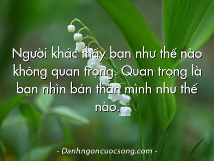 Người khác thấy bạn như thế nào không quan trọng. Quan trọng là bạn nhìn bản thân mình như thế nào.