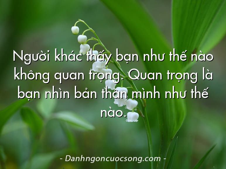 Người khác thấy bạn như thế nào không quan trọng. Quan trọng là bạn nhìn bản thân mình như thế nào.