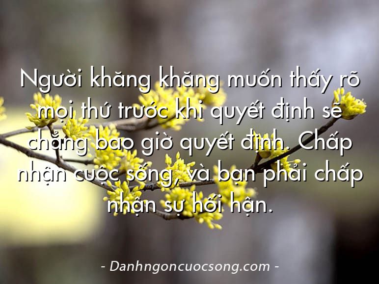 Người khăng khăng muốn thấy rõ mọi thứ trước khi quyết định sẽ chẳng bao giờ quyết định. Chấp nhận cuộc sống, và bạn phải chấp nhận sự hối hận.