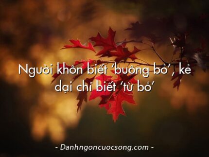 Người khôn biết ‘buông bỏ’, kẻ dại chỉ biết ‘từ bỏ’