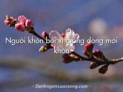 Người khôn bởi vị giống dòng mới khôn