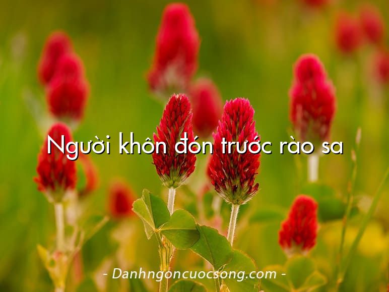 Người khôn đón trước rào sa