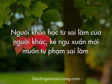 Người khôn học từ sai lầm của người khác, kẻ ngu xuẩn mới muốn tự phạm sai lầm.