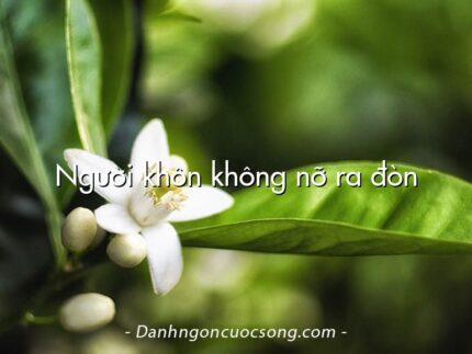 Người khôn không nỡ ra đòn