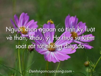 Người khôn ngoan có tính kỷ luật về thân, khẩu, ý. Họ thực sự kiểm soát rất tốt những điều đó.