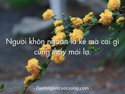 Người khôn ngoan là kẻ mà cái gì cũng thấy mới lạ.