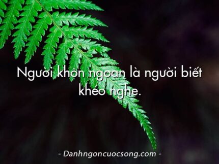 Người khôn ngoan là người biết khéo nghe.