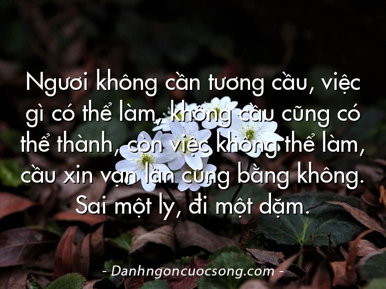 Ngươi không cần tương cầu, việc gì có thể làm, không cầu cũng có thể thành, còn việc không thể làm, cầu xin vạn lần cũng bằng không. Sai một ly, đi một dặm.