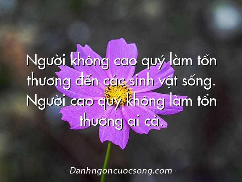 Người không cao quý làm tổn thương đến các sinh vật sống. Người cao quý không làm tổn thương ai cả.