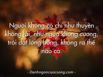 Người không có chí như thuyền không lái, như ngựa không cương, trôi dạt lông bông, không ra thế nào cả.