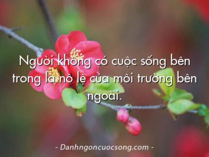 Người không có cuộc sống bên trong là nô lệ của môi trường bên ngoài.