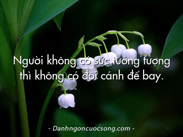 Người không có sức tưởng tượng thì không có đôi cánh để bay.