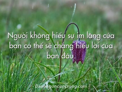 Người không hiểu sự im lặng của bạn có thể sẽ chẳng hiểu lời của bạn đâu.