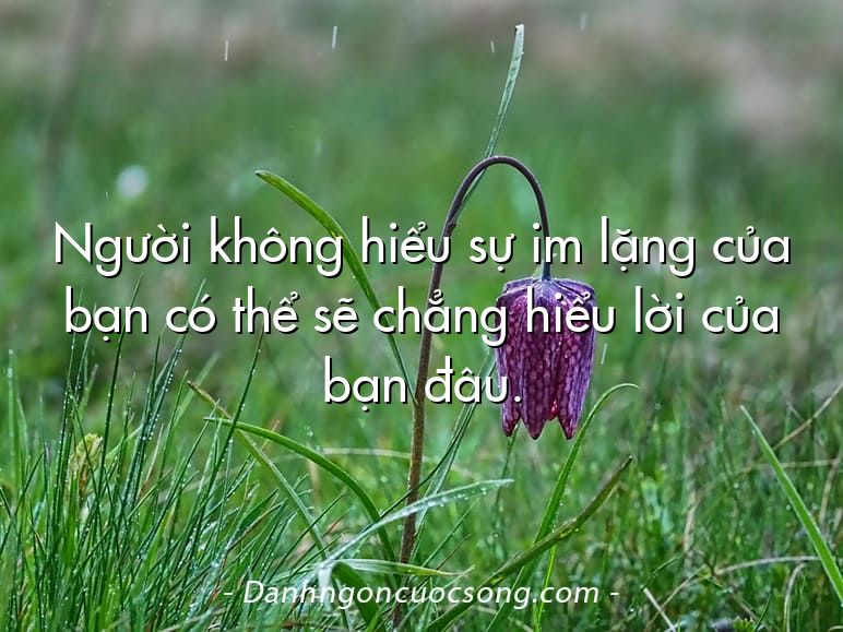 Người không hiểu sự im lặng của bạn có thể sẽ chẳng hiểu lời của bạn đâu.