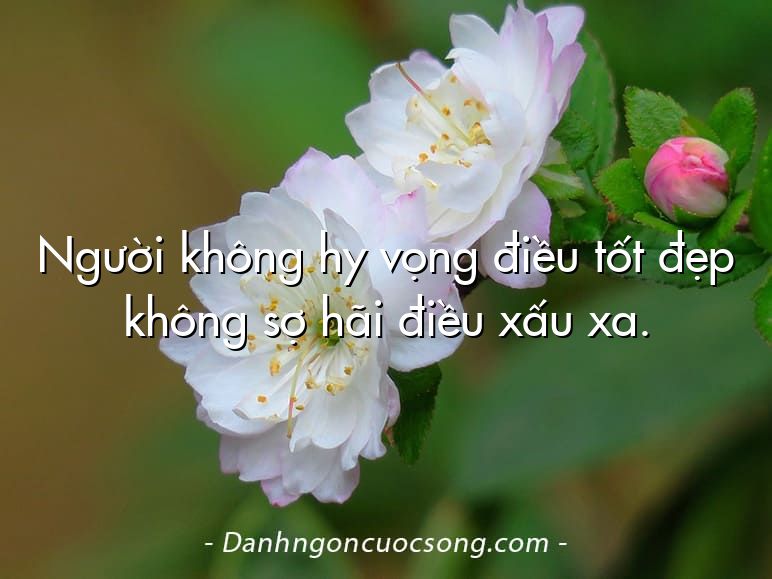 Người không hy vọng điều tốt đẹp không sợ hãi điều xấu xa.