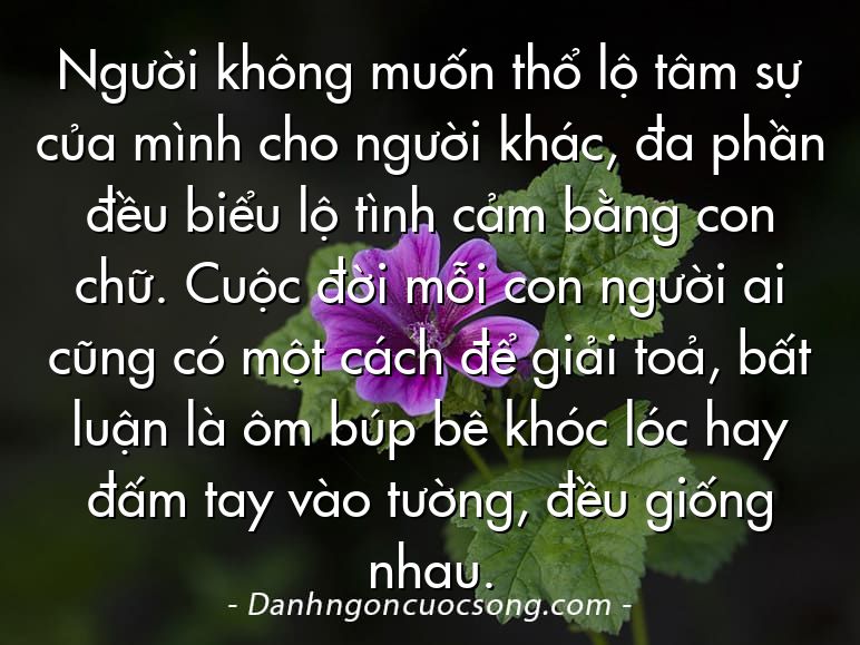 Người không muốn thổ lộ tâm sự của mình cho người khác, đa phần đều biểu lộ tình cảm bằng con chữ. Cuộc đời mỗi con người ai cũng có một cách để giải toả, bất luận là ôm búp bê khóc lóc hay đấm tay vào tường, đều giống nhau.