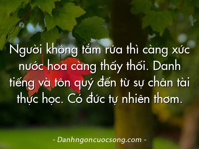 Người không tắm rửa thì càng xức nước hoa càng thấy thối. Danh tiếng và tôn quý đến từ sự chân tài thực học. Có đức tự nhiên thơm.